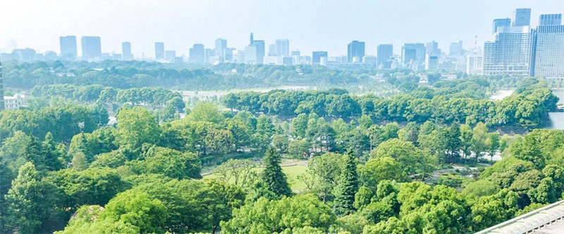 帝国ホテル　東京　日比谷公園の豊かな緑